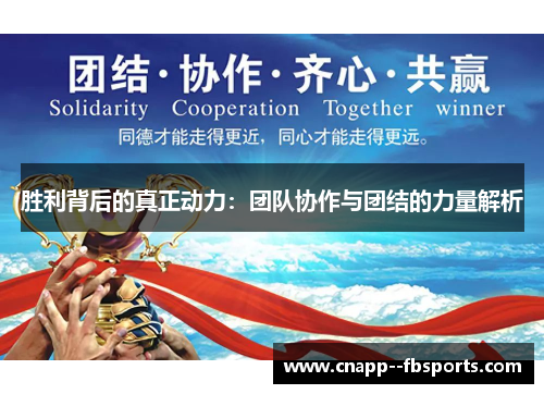 胜利背后的真正动力：团队协作与团结的力量解析