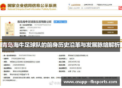 青岛海牛足球队的前身历史沿革与发展脉络解析 青岛海牛足球队的前身历史沿革与发展脉络解析