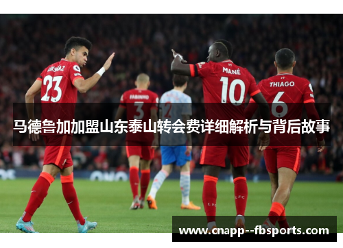 马德鲁加加盟山东泰山转会费详细解析与背后故事 马德鲁加加盟山东泰山转会费详细解析与背后故事