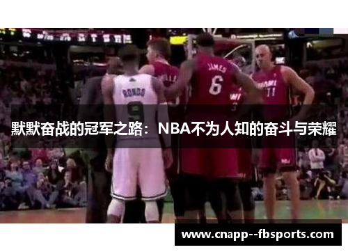 默默奋战的冠军之路:NBA不为人知的奋斗与荣耀 默默奋战的冠军之路:NBA不为人知的奋斗与荣耀