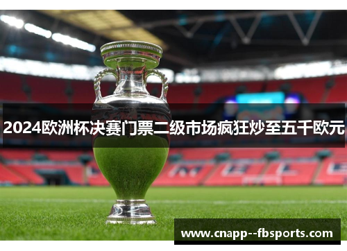 2024欧洲杯决赛门票二级市场疯狂炒至五千欧元
